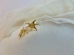 Load image into Gallery viewer, Solar Bloom Earrings (18k gold Plated)

